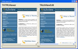 HTML Document (TRichView page) imported in THTMLViewer and TRichViewEdit